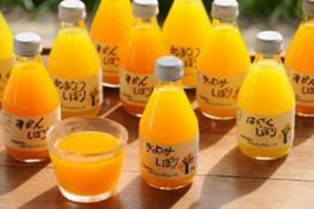 和歌山 「伊藤農園」 4種の柑橘ジュース