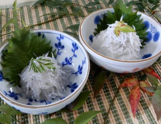 生しらす・釜揚げしらす詰合せ